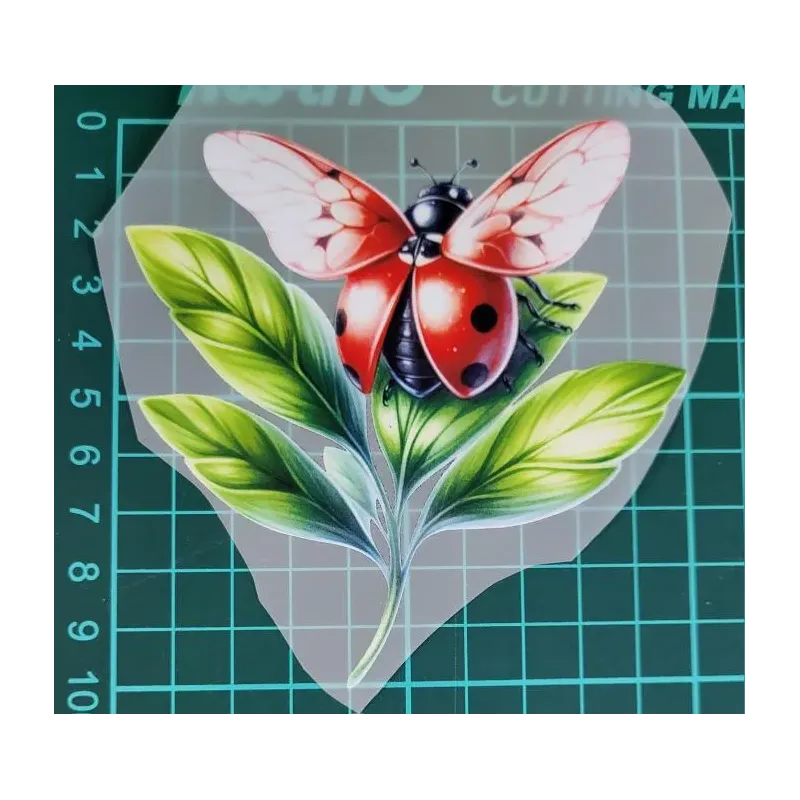 Kusovky 231