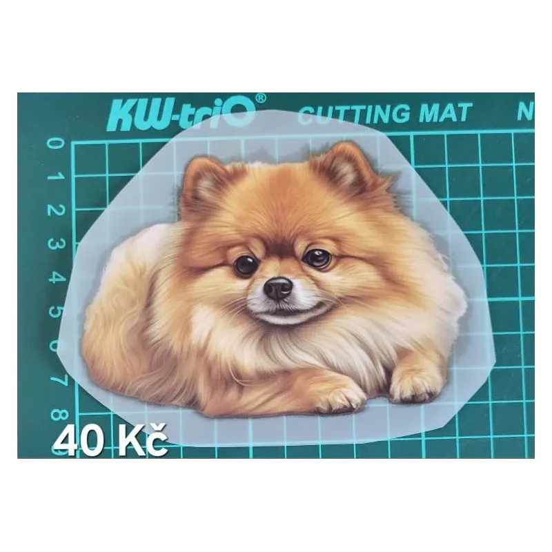 Kusovky 298