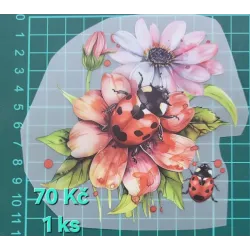 Kusovky 6