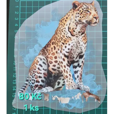 Kusovky 41