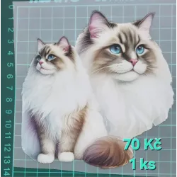 Kusovky 109
