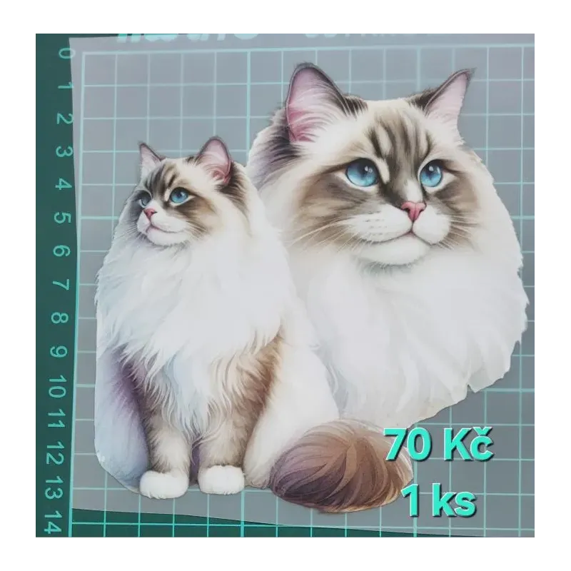 Kusovky 109