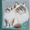 Kusovky 109