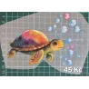Kusovky 54