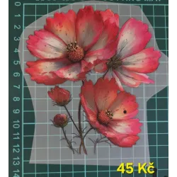 Kusovky 213